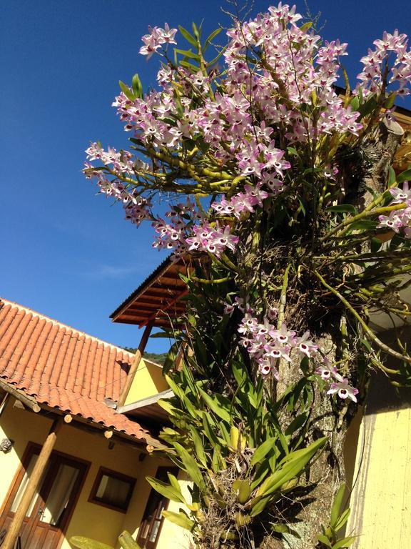 Morada Do Gabriel Hotel กวาร์ดาโดเอมบาอู ภายนอก รูปภาพ